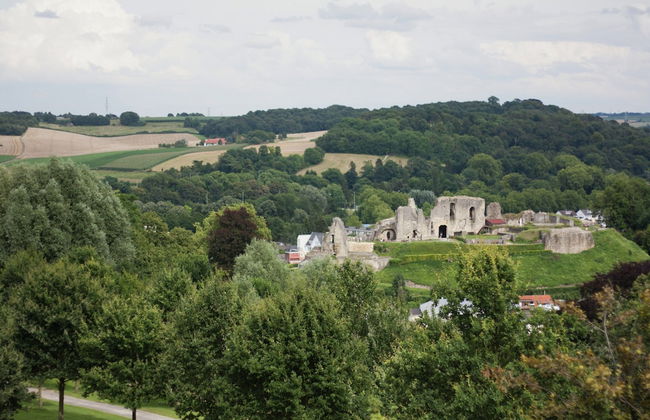 Holiday Home in Valkenburg Near Forest - Foto 25