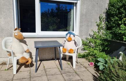 Ferienwohnung in Wartenberg - Foto 13