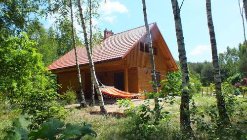 Sumówko Leśne Siedlisko - Foto 5