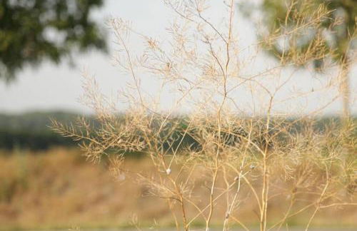 Ferienwohnung in Peetzig am See - Foto 51
