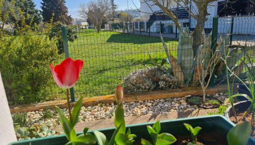 Romantic Apartment Flower - Photo 2, Garden, Garden view