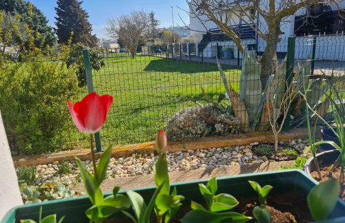 Romantic Apartment Flower - Photo 2