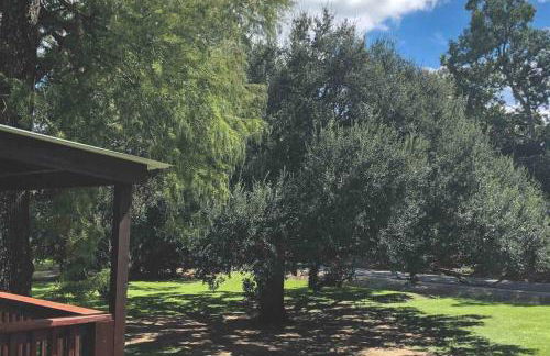 Experience Louisiana, Cabin on Bayou Petite Anse - Foto 33