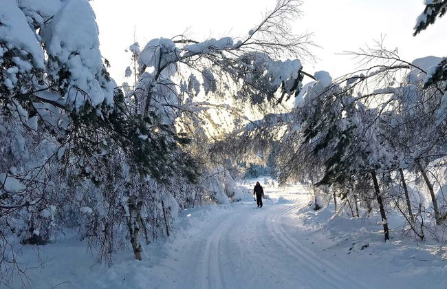 15 Person Holiday Home in Treungen - Foto 11