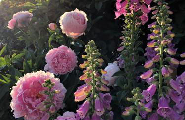 Ferienwohnung "Frieda" - Foto 40