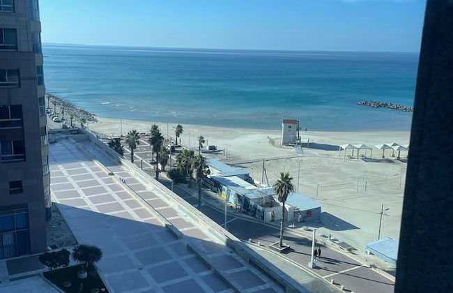 Two Bedroom one Ling Room Apartment - Photo 11