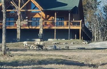 Luxury Mtn Log Home- Sevier Lodge at May Ridge - Foto 58