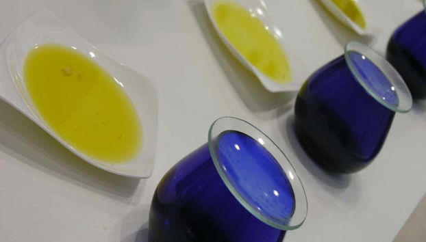 Descubriendo diferentes tipos de aceites