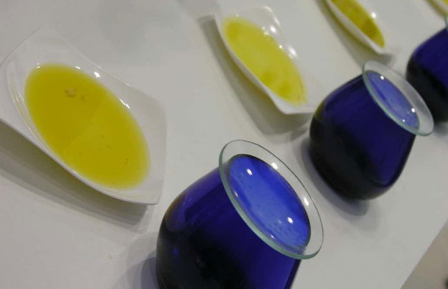 Tour del aceite por Montoro - Foto 2