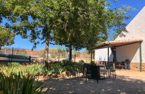 La Huerta el Bao - Foto 6