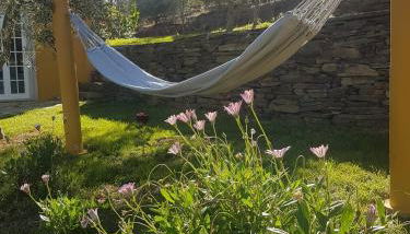 quinta vale da corga - Foto 5, Garden