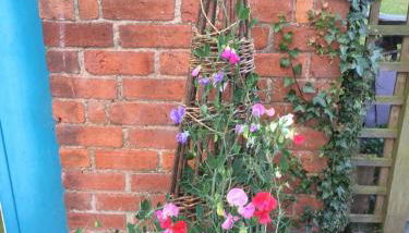 Lower Buckton Country Living Big House near Ludlow 6 bedrooms sleep 12 - Foto 4