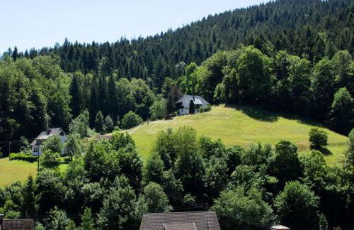Ferienwohnung Schwarzwaldblick - Photo 20