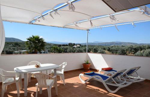 Finca Los Jacaros - Foto 23