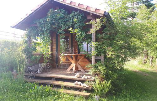 Ferienwohnung am Dachsberg, Bayerischer Wald - Foto 28