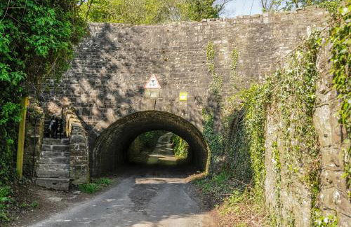 Black Cat Bach - Foto 37