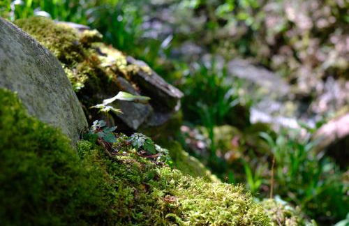 Ty Farm Retreat - Farmhouse Studio - Mountain View - Foto 24