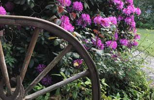 Haus Petersen - Foto 23