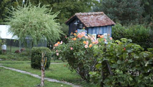 Gîte le Pilon - Foto 5