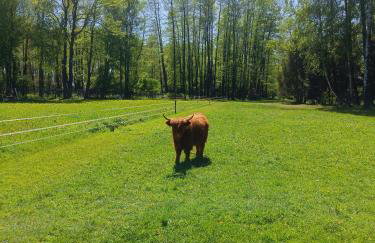 KUKUŁKA Nad Rzeczką - Foto 13