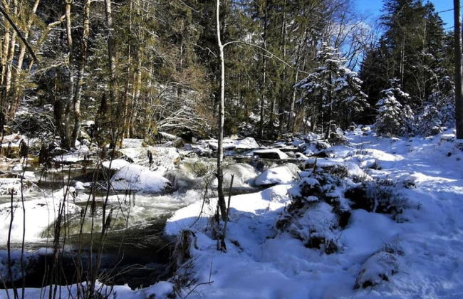 Balcony Views & Forest Calm - Photo 29