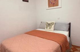 Sweet William - Foto 3