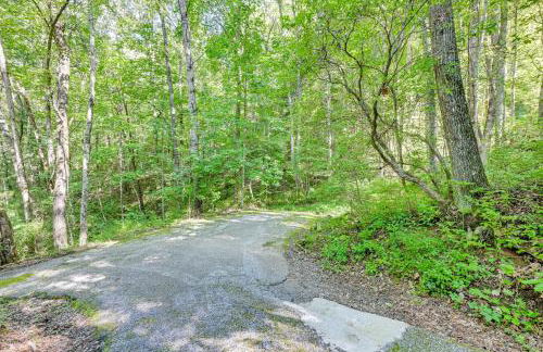 Artists Retreat at Sky Valley with Balcony and Deck - Foto 33