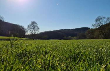 Großzügige Wohnung auf dem Hof Historischen Mühle - Photo 10