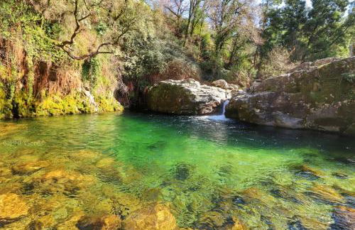 Casa João Rodas - Foto 24