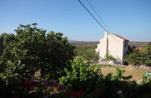 Apartments with WiFi Stivan, Cres - 382 - Foto 18