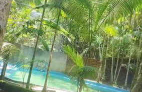 Chácara Bela Vista - Photo 24