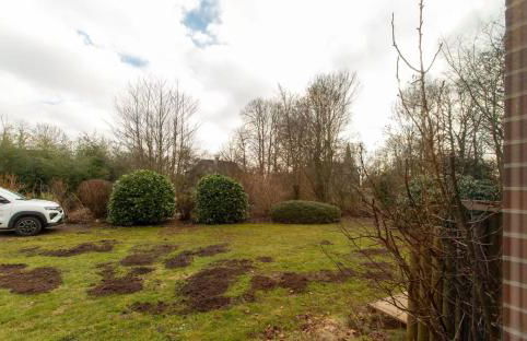 Wattknistern - Foto 21