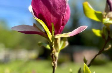 Siedlisko Nad Potokiem - Foto 1