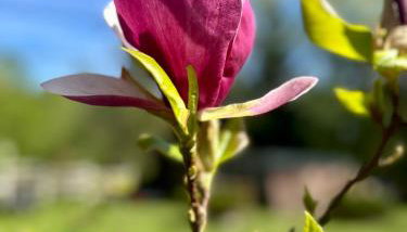 Siedlisko Nad Potokiem - Foto 1