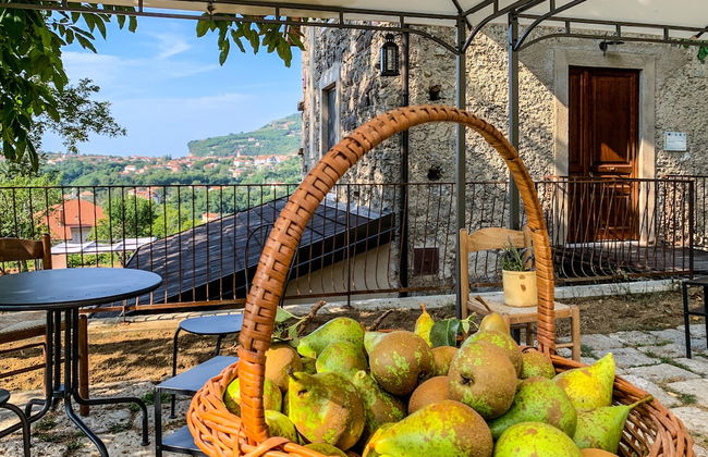 Tenuta Novecento Bio Agriturismo - Foto 68