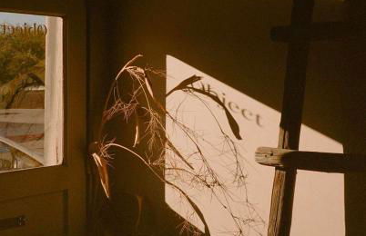 Historic Adobe 3br Home in Downtown El Presidio - Foto 16