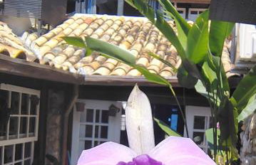 Casa Verde no Centro Histórico - Photo 28