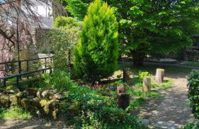 Gîte de charme proche du Zoo Beauval et Châteaux - Photo 28