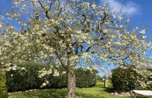 STRANDLIEBE 100 qm Gartenwohnung (eingezäunt), 15 Gehminuten zum Strand - Foto 44