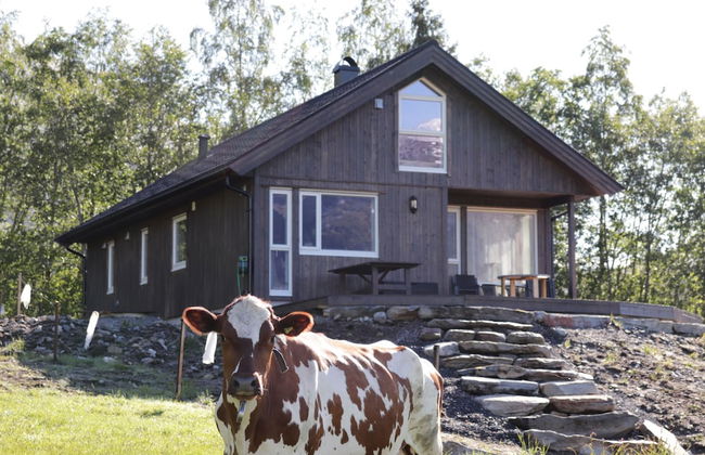 Heinåli Hytta - Foto 24