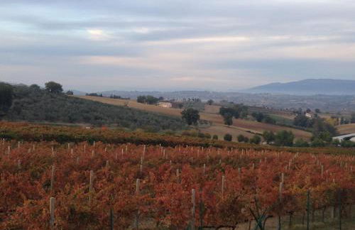 Agriturismo Il Mulino del Vescovo - Foto 55