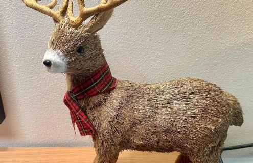 La casa sul parco - Foto 19