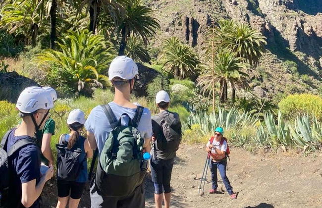 Randonnée à Masca + Balade en bateau à Los Gigantes - Photo 3