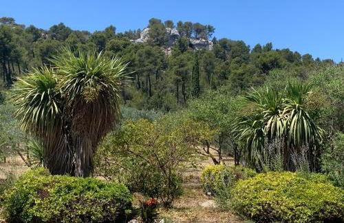 Le Domaine de l'Aiguille Alpilles, Eygalières, Saint Rémy de Provence - Foto 45