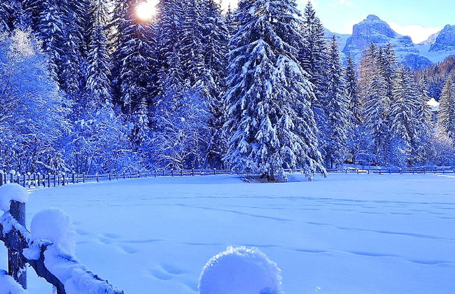 Apartment on the ski Slopes at Plan de Corones - Photo 23