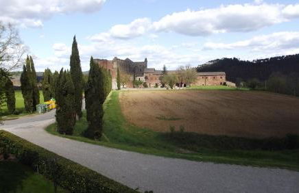 Agriturismo San Galgano - Foto 57