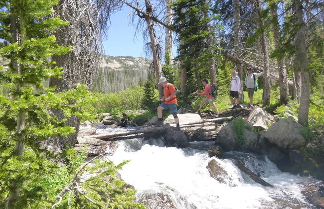 Vista Verde Ranch All-inclusive - Adults Only - Foto 54