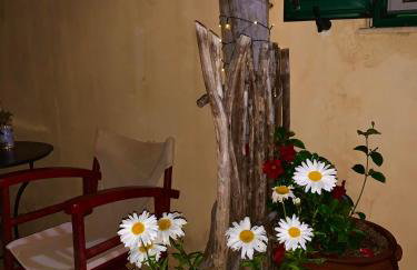 AMPELIA KYTHIRA - Foto 75