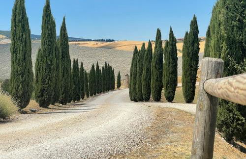 Podere Le Volpaie - Arancia - Foto 7