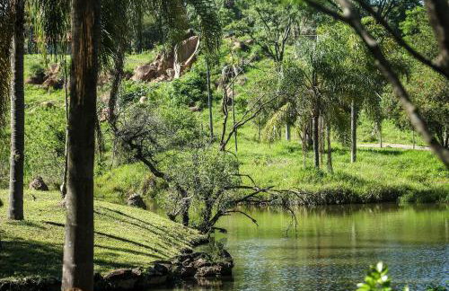Chalé europeu com vista para natureza no interior - Foto 35